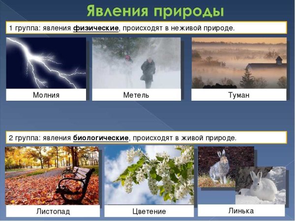 Летнеее явления природы