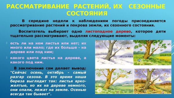 Признаки зимы для дошкольников