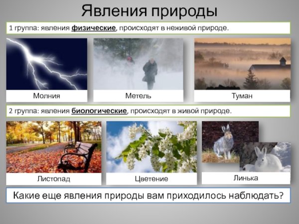 Явления природы для детей