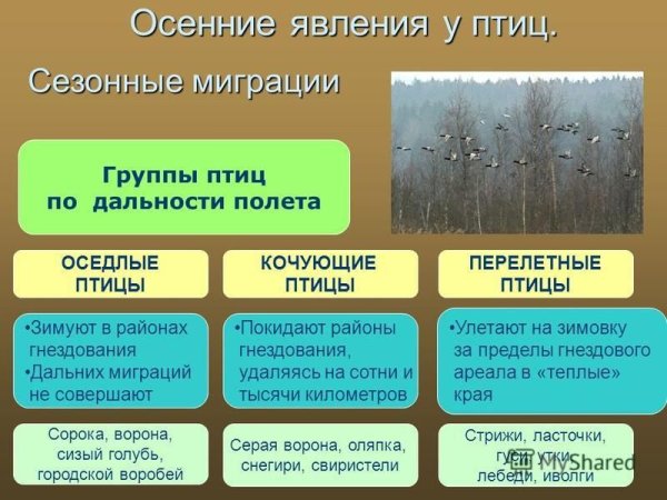 Сезонные изменения зима