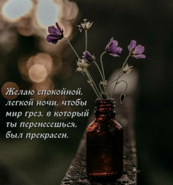 Спокойной ночи с весенними цветами