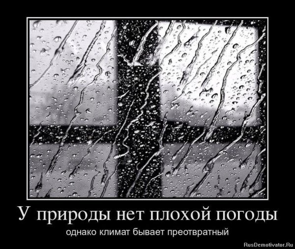 У природы нет плохой погоды смешное