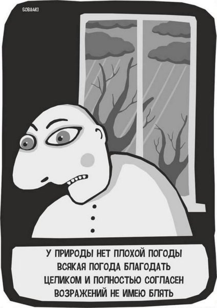 У природы нет плохой погоды дождь