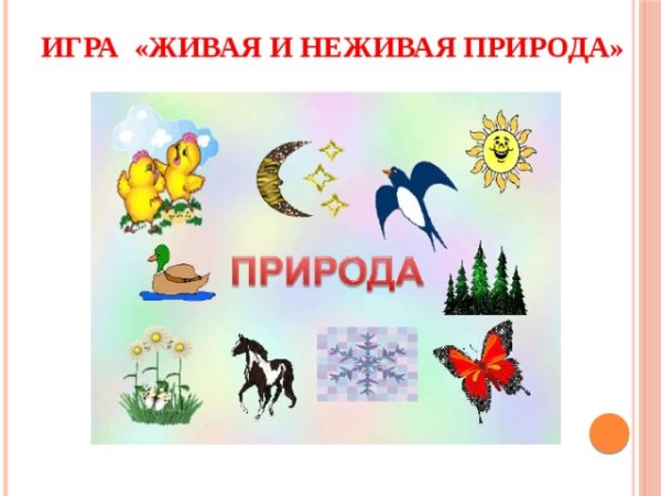 Плакат Живая и неживая природа