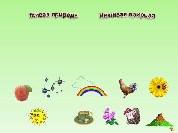 Живая и неживая природа