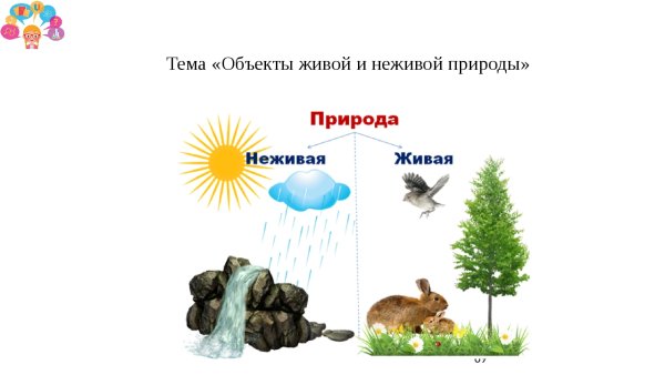 Карточки Живая и неживая природа