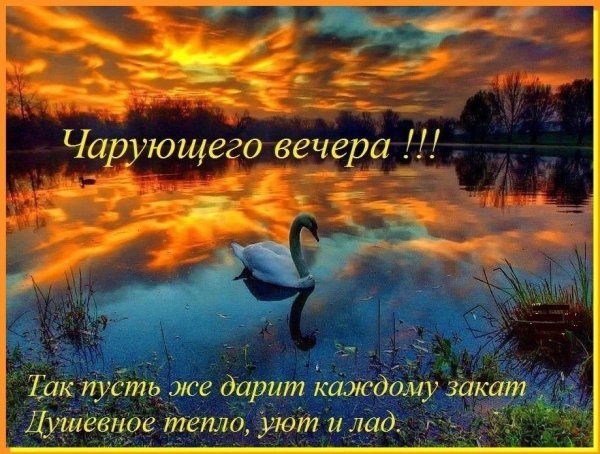 Доброго весеннего вечера
