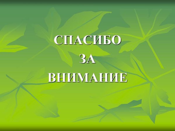 Спасибо за внимание природа