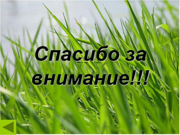 Спасибо за внимание биология