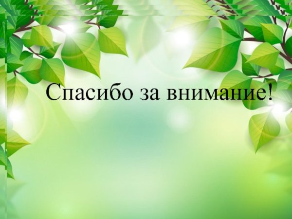 Спасибо за внимание для презентации