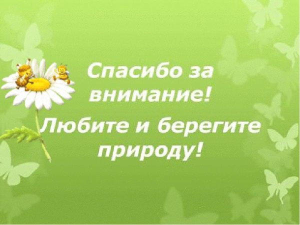 Спасибо за внимание экология