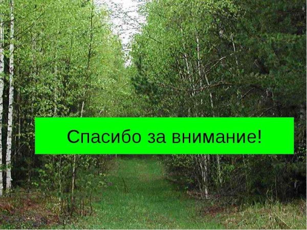 Благодарю за внимание