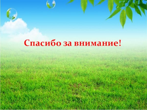 Спасибо за внимание растения