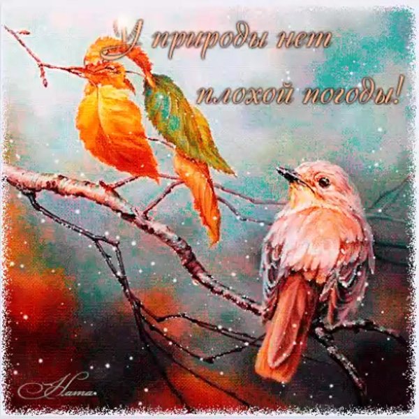 Хорошего настроения в любую погоду зима