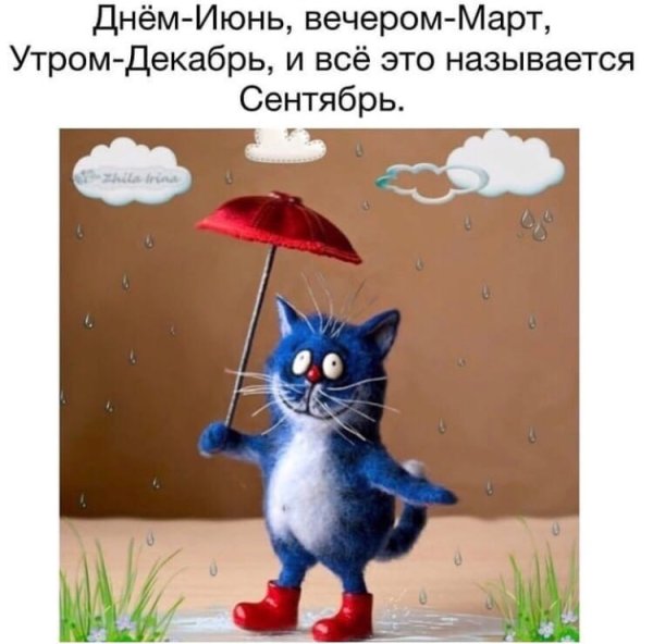 Открытки с плохой погодой
