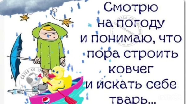 Смешные цитаты про дождь