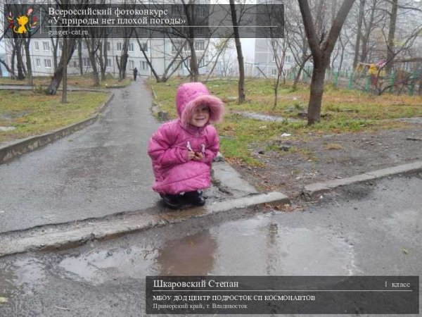 Пожелания в дождливый день