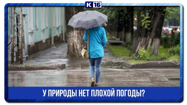 У природы нет плохой погоды дождь