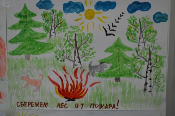 Берегите лес от пожара рисунки для детей