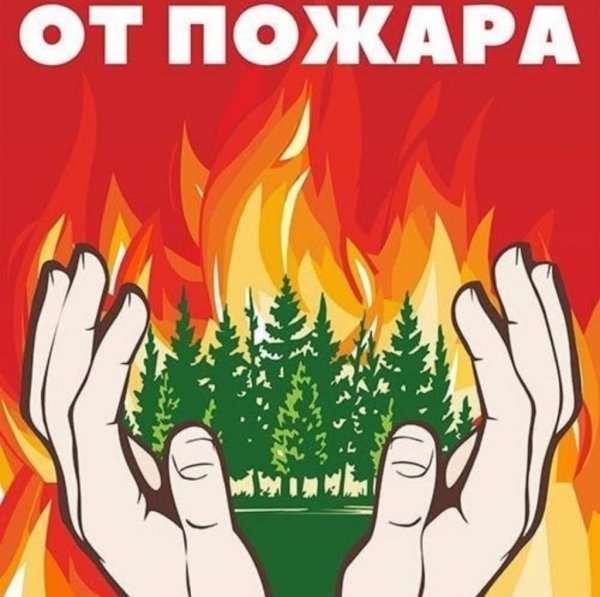 Плакат берегите лес от пожара