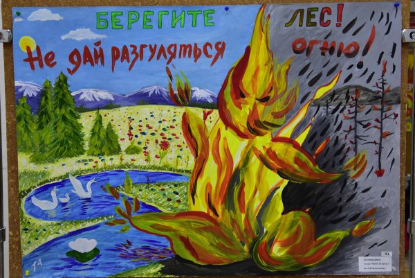 Береги лес от пожара рисунки