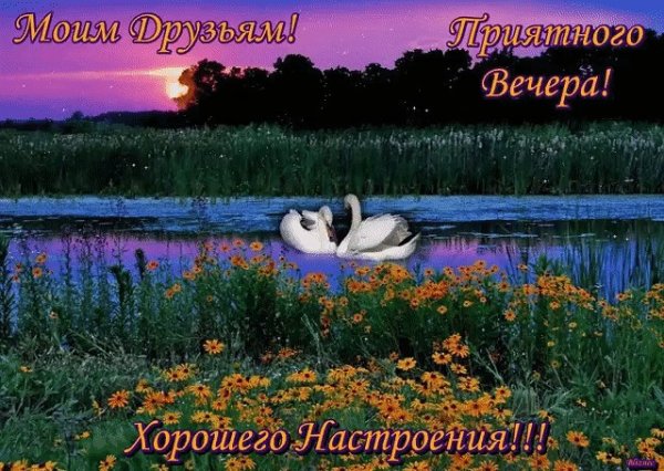 Добрый вечер природа с надписью