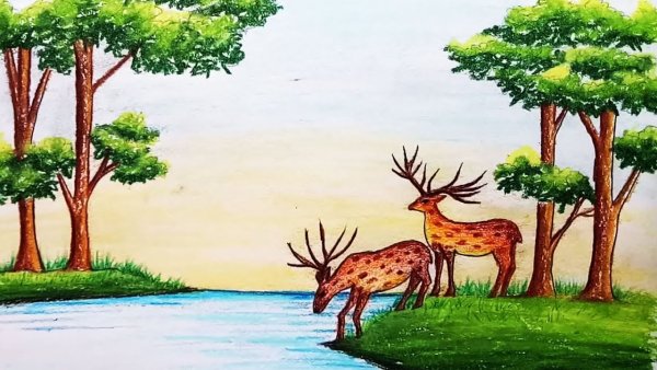 Рисунки карандашом природа и животные