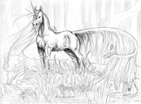 Рисунки карандашом природа и животные