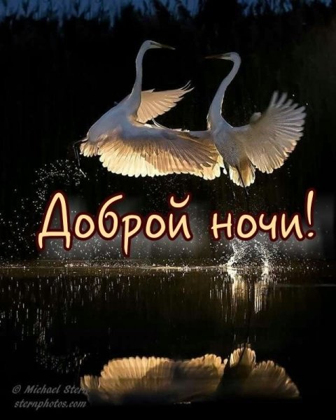 Доброй вам ночи и светлого завтра