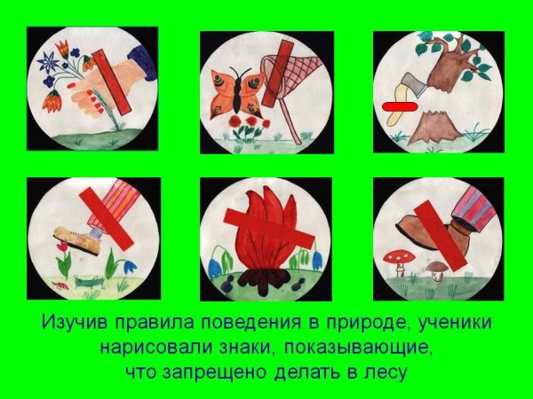 Рисование экологических знаков