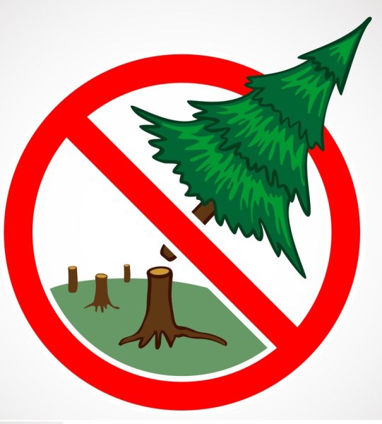 Знак не ломать ветки