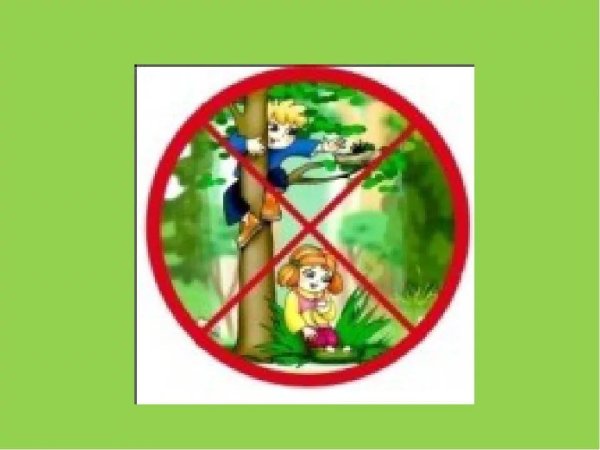 Знаки природы для дошкольников