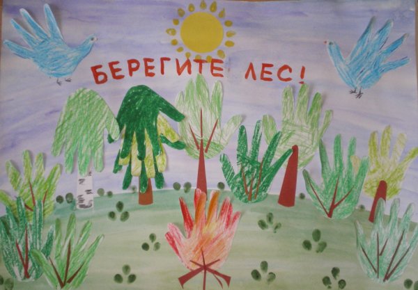 Береги природу рисунки для детей
