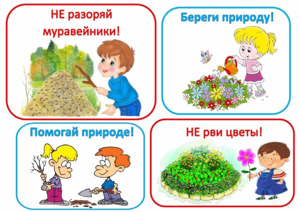 Экология для детей дошкольного возраста