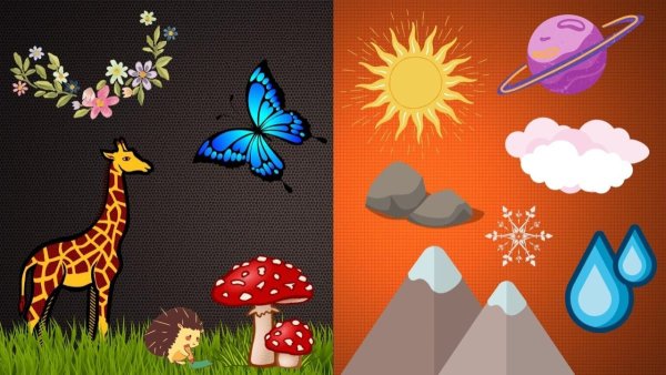 Игра на липучках живое неживое