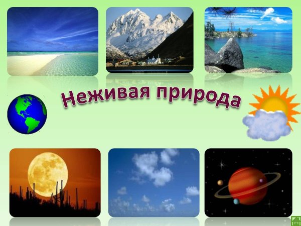 Неживая природа