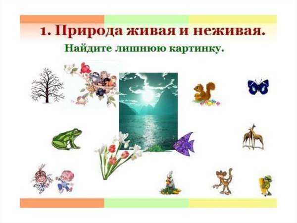 Окружающий мир 2 Живая и неживая природа