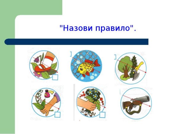 Влияние человека на природу
