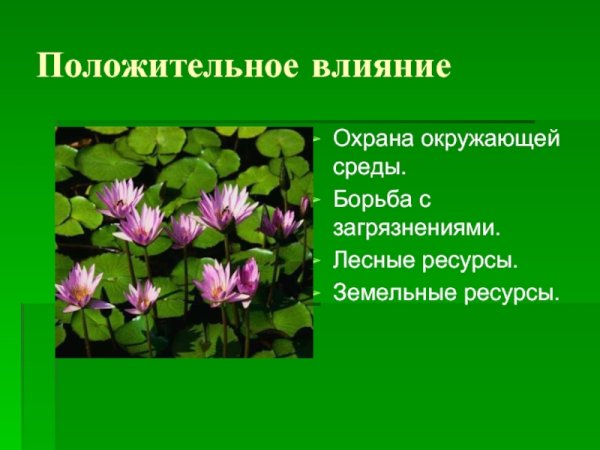 Негативное воздействие человека на природу