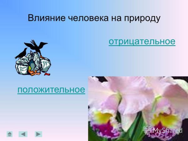 Отрицательное воздействие человека на мир растений