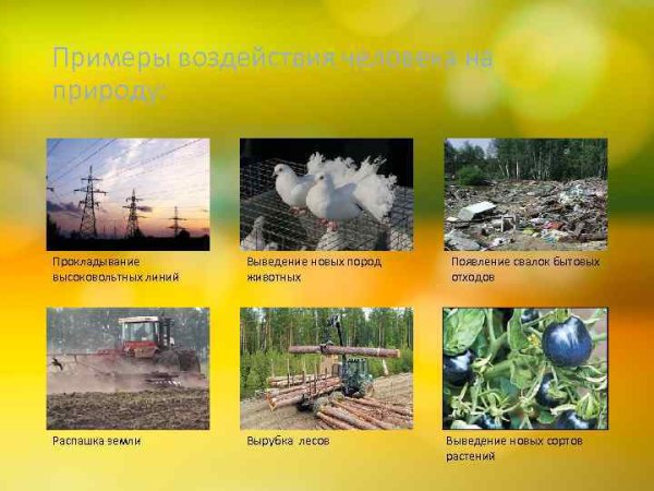 Положительное воздействие человека на природу
