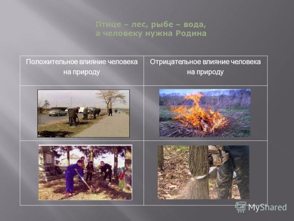 Отрицательное воздействие человека на природу