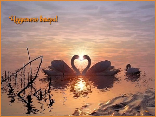 Нежного летнего вечера
