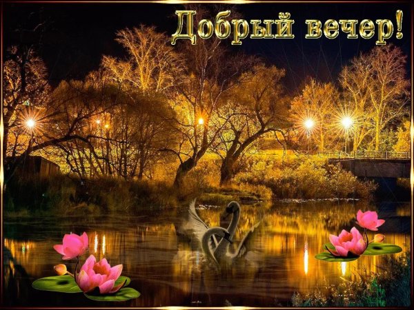 Бодрого вечера