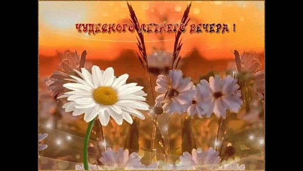 Доброго летнего вечера