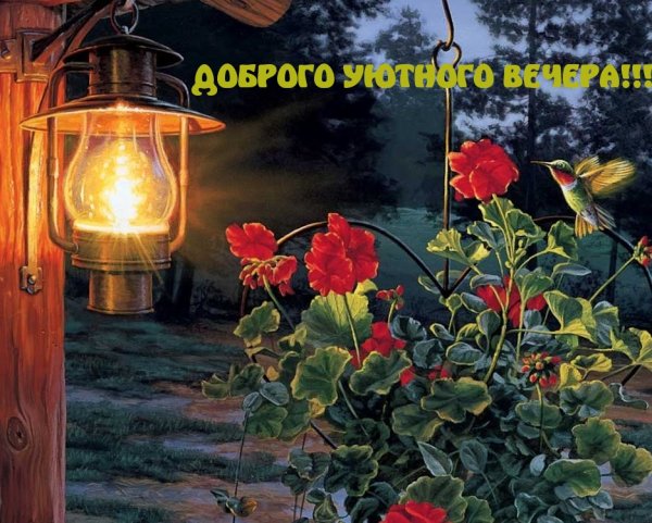 Приятного летнего вечера