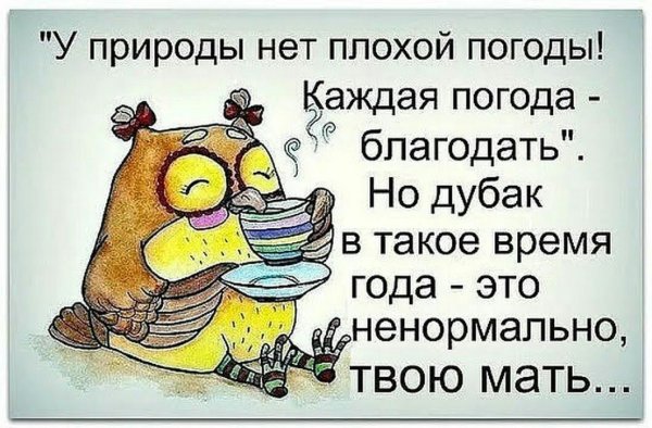 У природы нет плохой погоды доброе утро