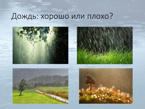 У природы нетплохоц погоды