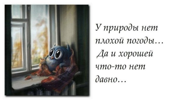 У природы нет плохойпогоды картин