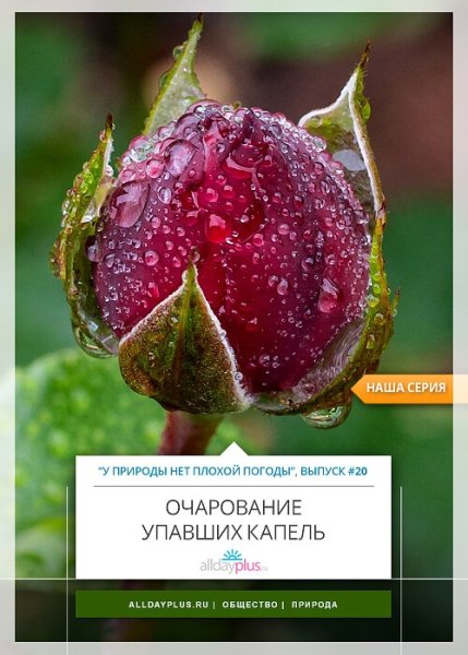 Открытки у природы нет плохой